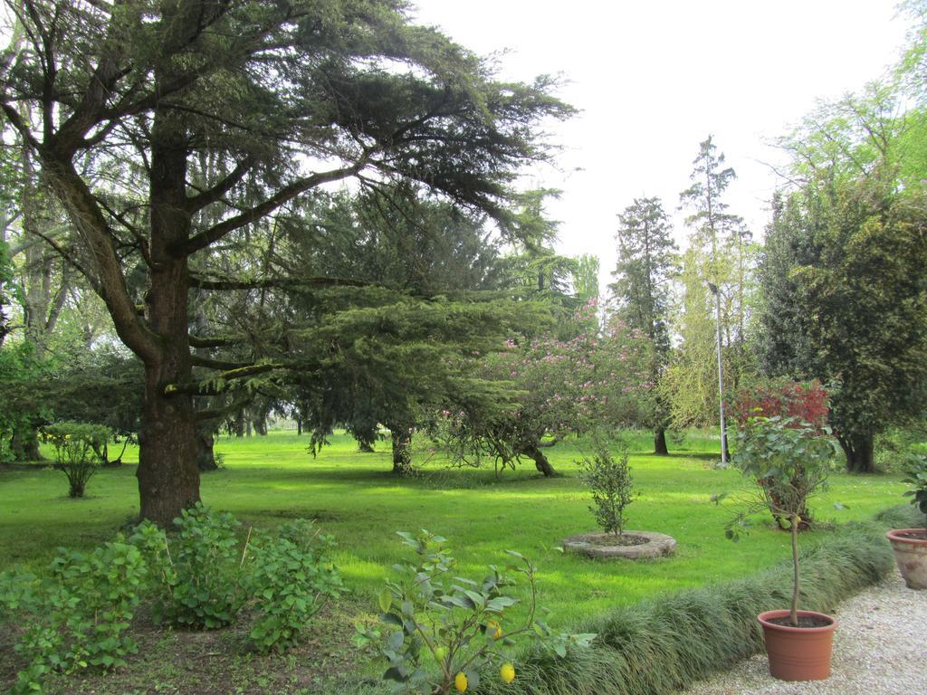 Selvatico * Vigonza