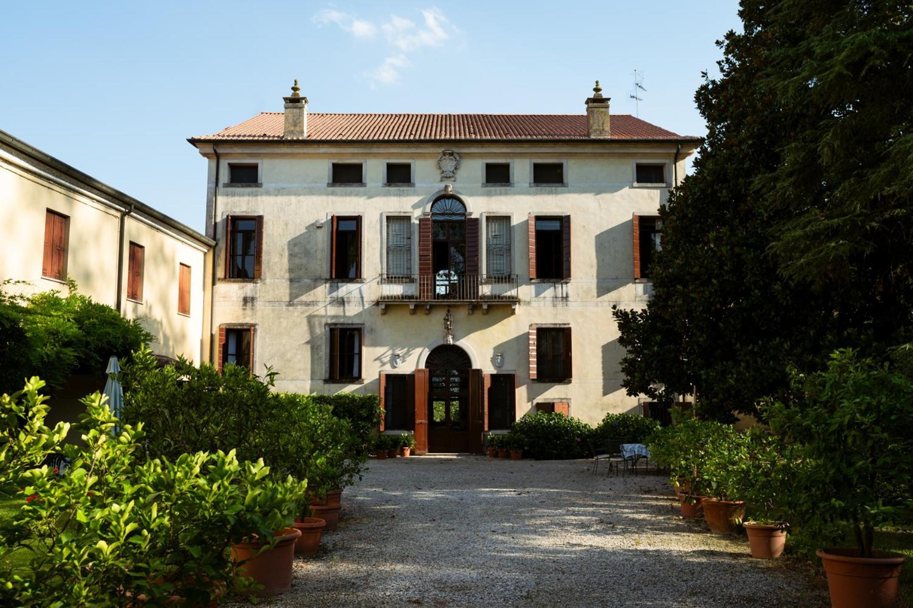 Selvatico *