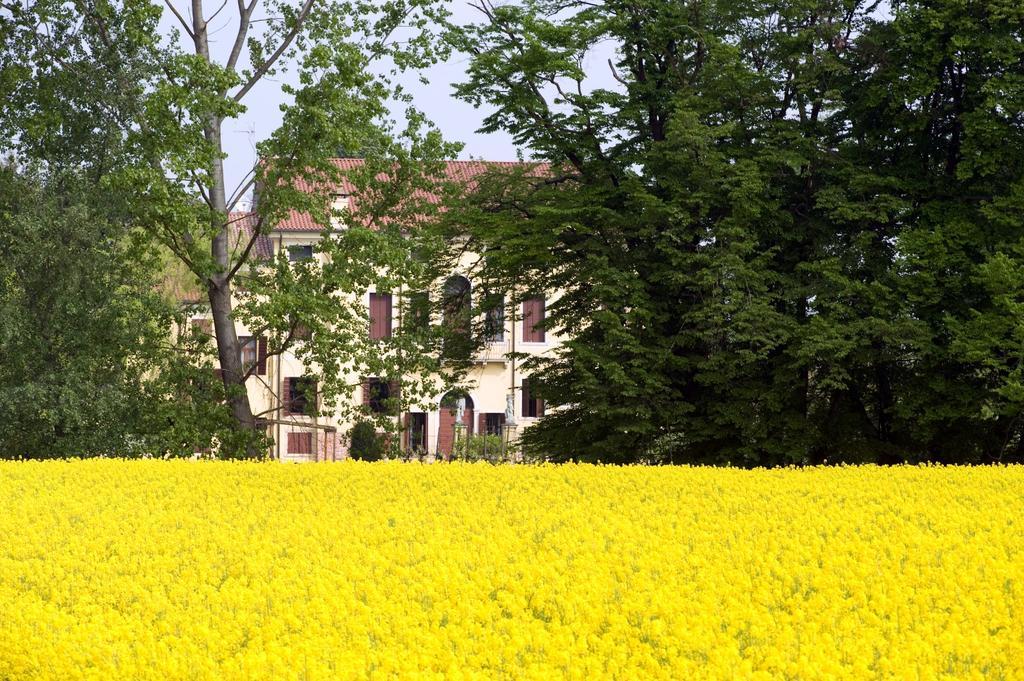 Selvatico Agroturismo *