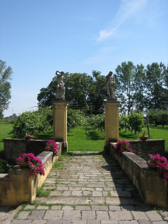 Selvatico * Vigonza